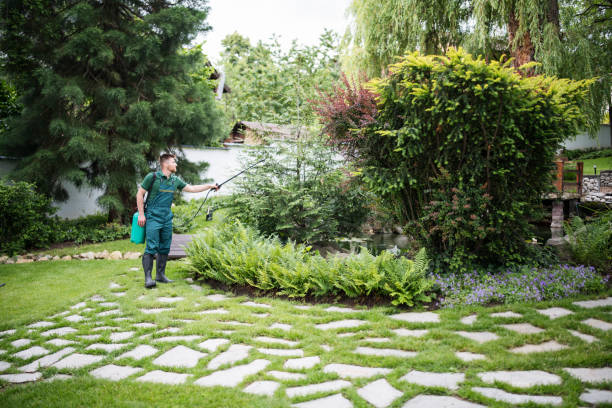 Best Mosquito Control Services  in Fort Thomas, KY