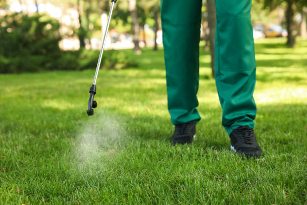 Best Pest Control Near Me in Fort Thomas, KY