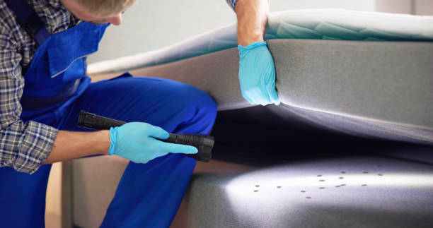 Best Affordable Pest Control Services  in Fort Thomas, KY